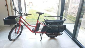 Douze LT 1 longtail beschikbaar voor biedingen