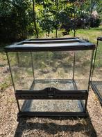 3 terrariums, Dieren en Toebehoren, Reptielen en Amfibieën | Toebehoren, Ophalen, Zo goed als nieuw