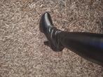 Pleaser laarzen nieuw !, Kleding | Dames, Schoenen, Ophalen of Verzenden, Nieuw