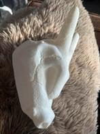 Charizars schedel skull, Antiek en Kunst, Ophalen