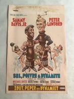 SALT & PEPPER   Filmposter   36-54 cm   USED, Ophalen of Verzenden