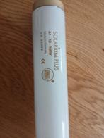 24 zonnebank lampen, Ophalen