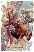 Spider-Man, Collections, Posters & Affiches, Comme neuf, Enlèvement ou Envoi