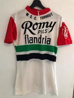 Romy Flandria retro Wielertrui, Ophalen of Verzenden