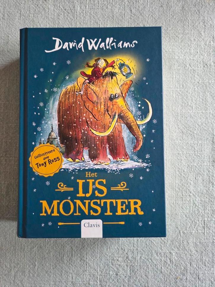 David Walliams - Het Ijsmonster, Boeken, Kinderboeken | Jeugd | 10 tot 12 jaar, Zo goed als nieuw, Ophalen