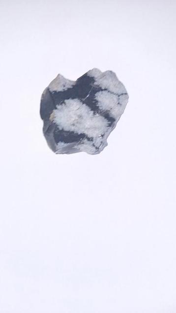 Floçons de neige en obsidienne, Enlèvement