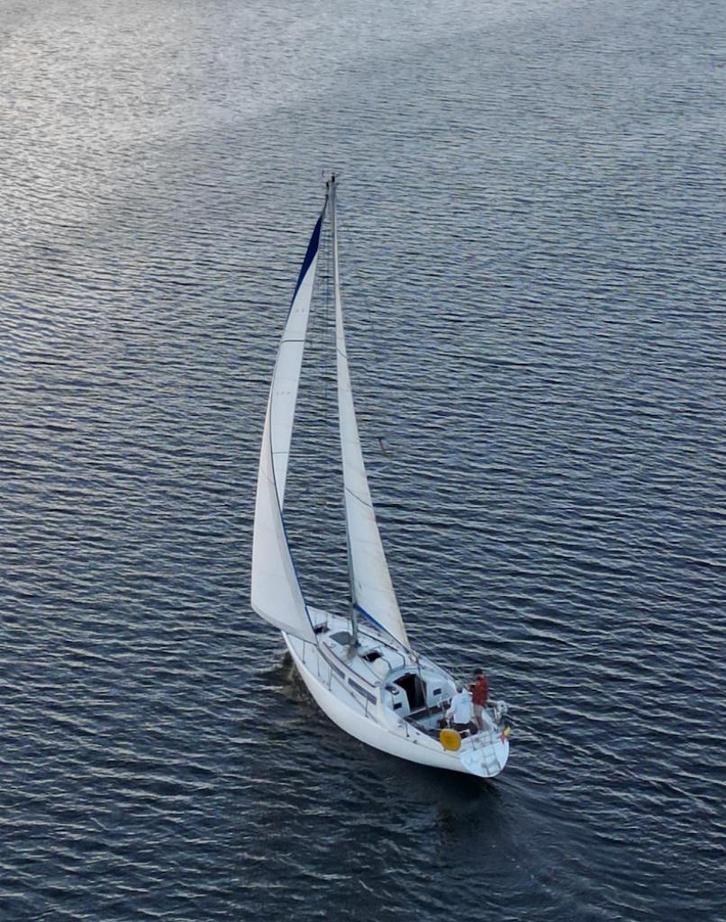 Unieke zeilboot - AN 24 “Sillage”, Watersport en Boten, Kajuitzeilboten en Zeiljachten, Gebruikt, Tourjacht of Cruiser, Polyester