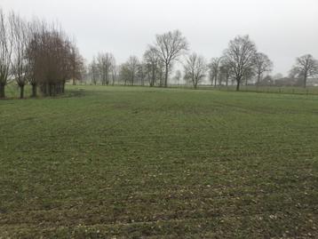 Zoek gratis aanvulgrond 2500m3 beschikbaar voor biedingen