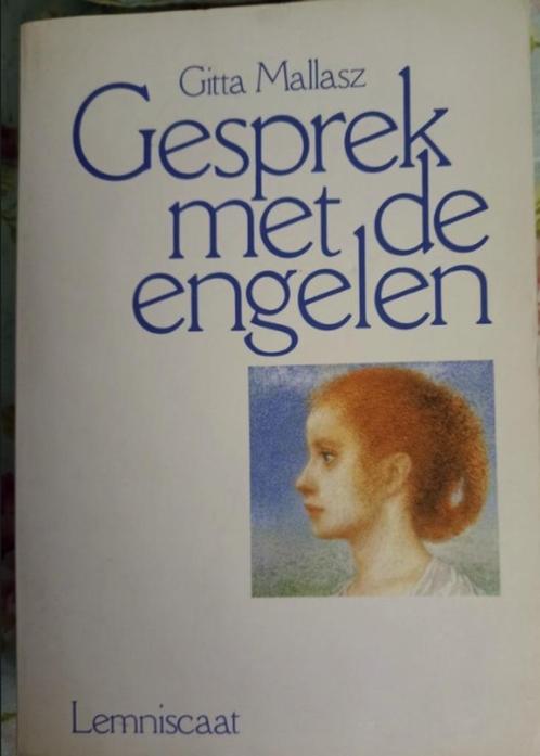 Gesprek met de engelen, Gitta Mallasz, Boeken, Esoterie en Spiritualiteit, Zo goed als nieuw, Ophalen of Verzenden
