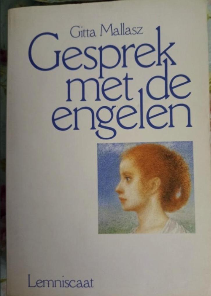 Gesprek met de engelen, Gitta Mallasz, Boeken, Esoterie en Spiritualiteit, Zo goed als nieuw, Ophalen of Verzenden