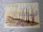 Aquarel Herfst, Antiek en Kunst, Ophalen of Verzenden