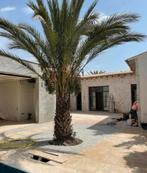 Ruim assortiment houten vloeren en Bourgondische dallen, Ophalen of Verzenden