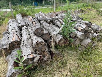 Bois a donner  beschikbaar voor biedingen