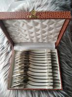 12 zilveren of verzilverde koffielepeltjes, Antiek en Kunst, Ophalen of Verzenden, Zilver