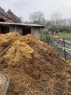 Fumier de cheval, Tuin en Terras, Aarde en Mest, Ophalen, Mest
