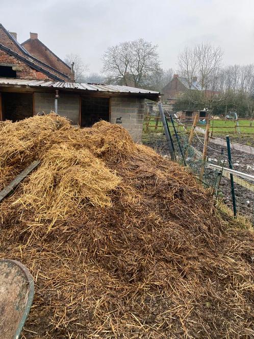 Fumier de cheval, Tuin en Terras, Aarde en Mest, Mest, Ophalen