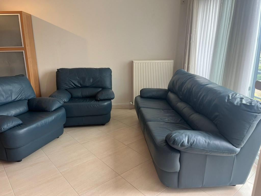 salon, Enlèvement, Utilisé, Modern