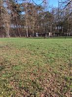 Stalling met vrije weidegang gelegen in bosrijke omgeving, Animaux & Accessoires, Pâturage, 1 cheval ou poney