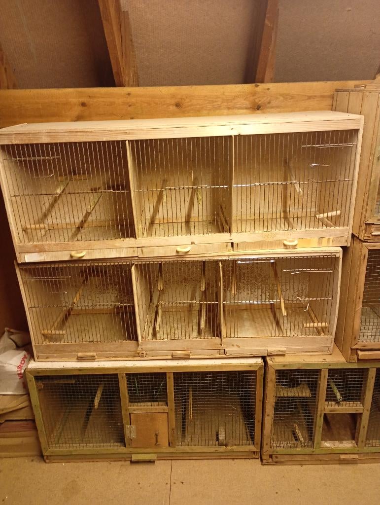 Kweekbak, Ophalen, Gebruikt, Hout, Broedkooi of Kweekkooi