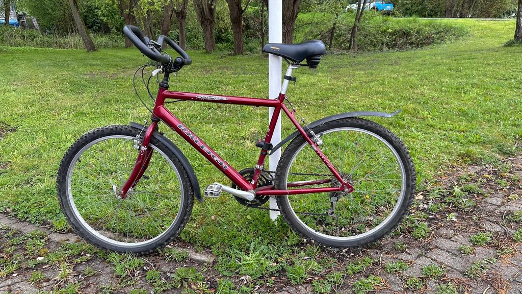 Raleigh mountainbike, Enlèvement, Utilisé