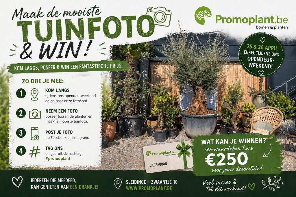 super PROMOS bij PROMOplant, Jardin & Terrasse, Plantes | Jardin, Enlèvement