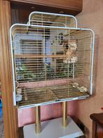 Grote vogelkooi met goudkleurige voet, Ophalen, Vogelkooi