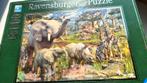 Ravensburger puzzel 'African animals' 18000 stukken, Ophalen