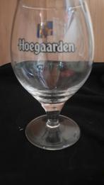 glas HOEGAARDEN special, Enlèvement ou Envoi, Verre à bière