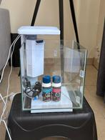 Vissen aquarium Superfish 15 liter, Ophalen, Zo goed als nieuw