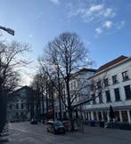 Restaurant CENTRUM ANTWERPEN, Restaurant