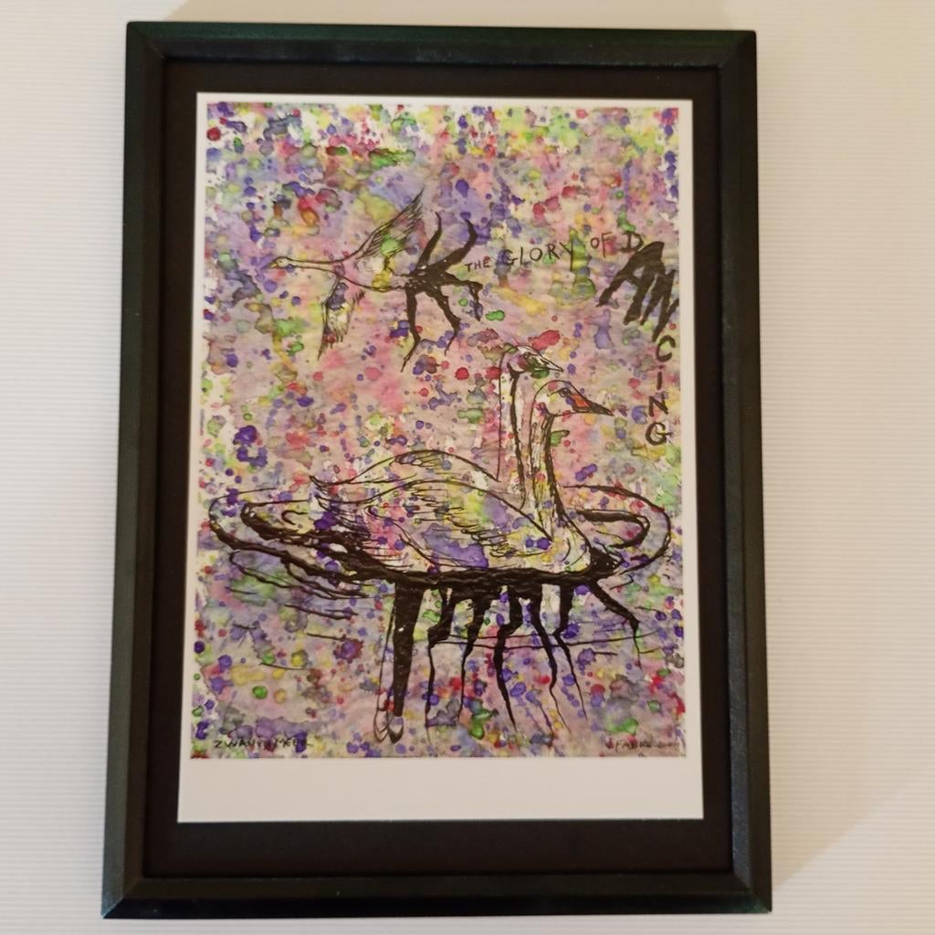 Fabre Jan, het zwanenmeer, Ophalen of Verzenden