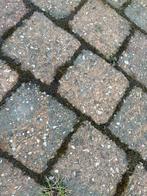 Gratis: 50+ m2 roze/blauwe betonklinkers, Ophalen, Gebruikt, Klinkers