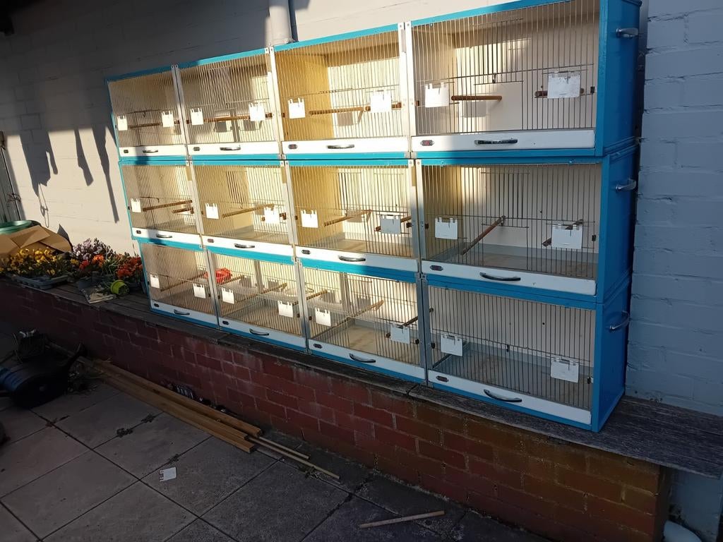 Kweekbakken  vogels, Ophalen