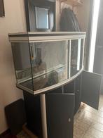 Aquarium 120 cm met onderkast en verschillende accessoires, Ophalen, Zo goed als nieuw