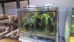 paludarium op meubel, Dieren en Toebehoren, Amfibie, 3 tot 6 jaar