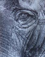 LUDO GEYSELS / AFFICHE / KLEURZEEFDRUK / 90x60cm / PANTER, Enlèvement ou Envoi