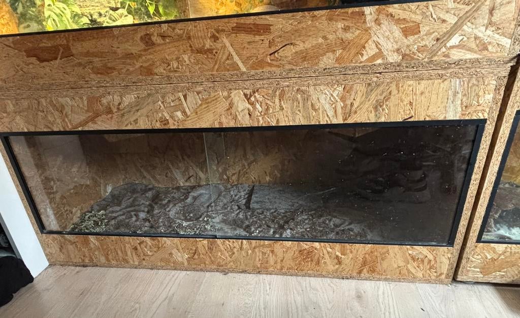 Terrarium 120x50x50, Dieren en Toebehoren, Ophalen, Zo goed als nieuw