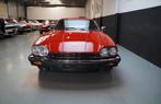 Jaguar XJS V12, Autos, Rouge, Achat, Particulier, Essence