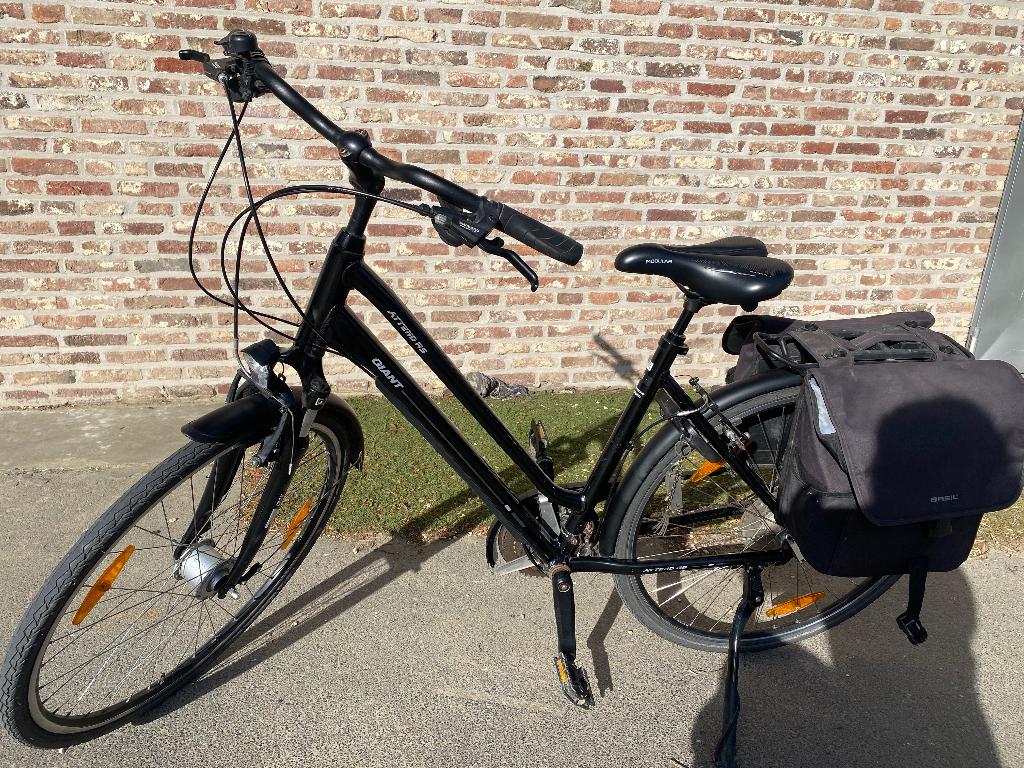 Damesfiets, Ophalen, Giant