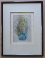 ROGER VAN BELLEGHEM / GEZICHT / ETS-AQUAREL / 41x31cm KADER, Antiek en Kunst, Kunst | Litho's en Zeefdrukken, Ophalen of Verzenden