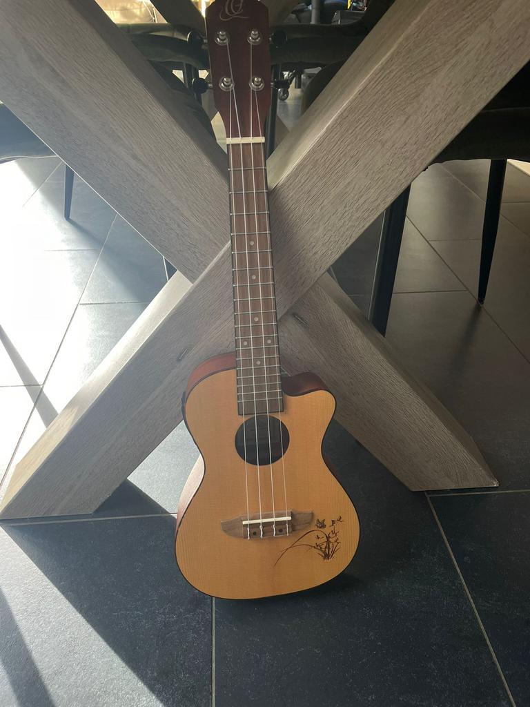 Ortega ukelele met ingebouwde tuner + draagtas, Muziek en Instrumenten, Snaarinstrumenten | Gitaren | Bas, Zo goed als nieuw, Ophalen