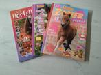 Penny XXL doeboeken, Boeken, Ophalen, Gelezen
