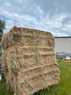 Grote pakken hooi, Dieren en Toebehoren, Ophalen