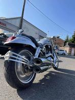Harley-Davidson VROD, Motoren, Motoren | Harley-Davidson, 2 cilinders, Chopper, Bedrijf, Meer dan 35 kW