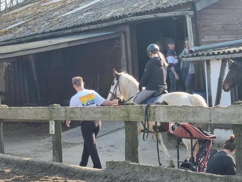 Ponette, Dieren en Toebehoren, Paarden en Pony's | Overige Paardenspullen, Zo goed als nieuw, Ophalen of Verzenden