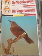De vogelwereld, Ophalen, Zo goed als nieuw, Glossy