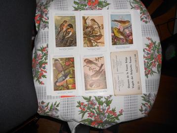 Postkaarten.Carte Postale.Reeks 14.Vogels .Oiseaux beschikbaar voor biedingen