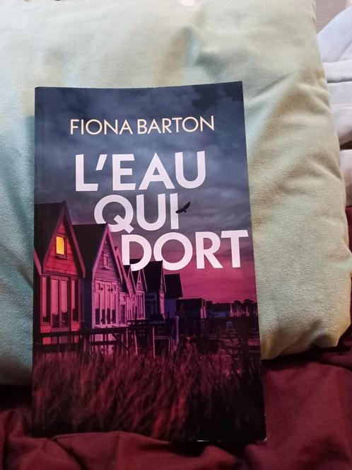 L'eau qui dort, Boeken, Romans, Zo goed als nieuw, Ophalen of Verzenden