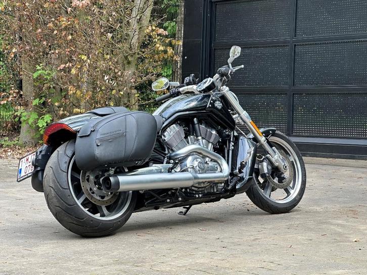 Harley V-Rod Muscle 2013 — 3.865 km — Uitstekende conditie, Motoren, Motoren | Harley-Davidson, Particulier, meer dan 35 kW, 2 cilinders