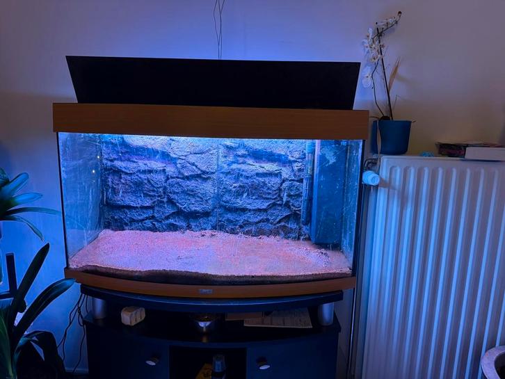 Juwel Vision 180, Dieren en Toebehoren, Vissen | Aquaria en Toebehoren, Gebruikt, Ophalen